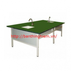 Bàn thí nghiệm hóa sinh 2 bồn rửa BTN-HS07